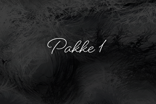 Iværksætter pakke 1